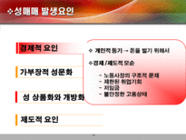 [성매매] 성특법의 허와 실의 연구-14