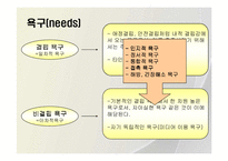 이용과 충족이론-14