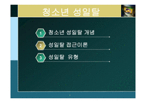 청소년 성이탈 레포트-2