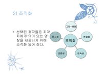 [조직행동론] 지각-4