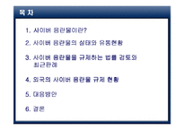 사이버 음란물의 실태와 현상-2