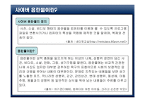 사이버 음란물의 실태와 현상-5