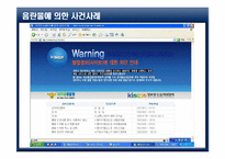 사이버 음란물의 실태와 현상-12