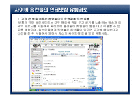 사이버 음란물의 실태와 현상-14