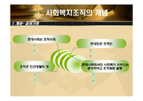 사회복지 조직이론-3
