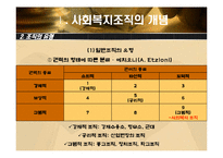 사회복지 조직이론-6