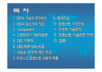 분산정보시스템(CBD)의 분석-2