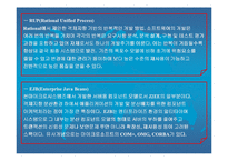 분산정보시스템(CBD)의 분석-12