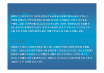 분산정보시스템(CBD)의 분석-14