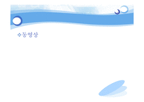 [사회학] 위험사회-6