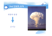 [사회학] 위험사회-11