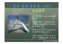 서남아시아아프리카 경제통합기구-9