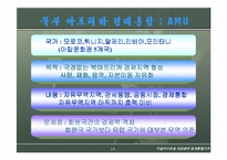 서남아시아아프리카 경제통합기구-14