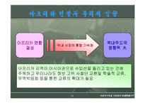 서남아시아아프리카 경제통합기구-19