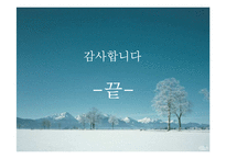 서남아시아아프리카 경제통합기구-20