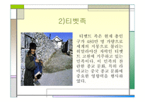 소수민족의 음식문화-8