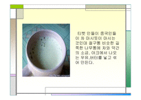 소수민족의 음식문화-13