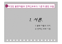 [결혼의경제학] 다양한 불량커플과 연예인부부의 이혼에 관한 고찰-3