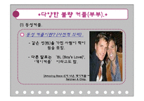[결혼의경제학] 다양한 불량커플과 연예인부부의 이혼에 관한 고찰-7