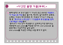 [결혼의경제학] 다양한 불량커플과 연예인부부의 이혼에 관한 고찰-13