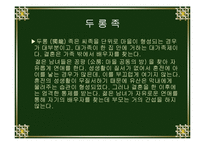 중국소수민족의 혼인풍속-19