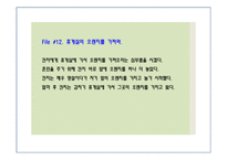 동물의 의사소통-6