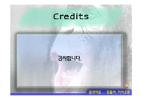 동물의 의사소통-11