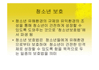 [청소년교육론] 청소년 문제와 보호-4