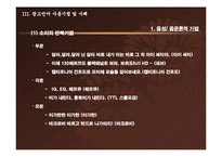 광고언어의 분석-18
