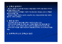 르네상스의 예술-5