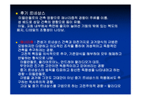 르네상스의 예술-7