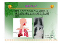 [간호학] 폐렴 The pneumonia-2