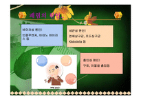 [간호학] 폐렴 The pneumonia-3