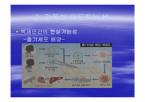 [문학과 영화] `아일랜드`에 관하여 영화 내적, 외적인 측면 연구-7