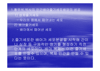 [문학과 영화] `아일랜드`에 관하여 영화 내적, 외적인 측면 연구-8