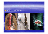 [문학과 영화] `아일랜드`에 관하여 영화 내적, 외적인 측면 연구-9