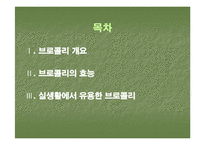 브로컬리(BROCCOLI)의 실용성-2