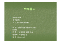 브로컬리(BROCCOLI)의 실용성-4