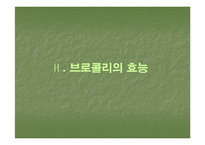 브로컬리(BROCCOLI)의 실용성-13