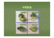 브로컬리(BROCCOLI)의 실용성-14