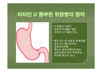브로컬리(BROCCOLI)의 실용성-15