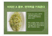 브로컬리(BROCCOLI)의 실용성-17
