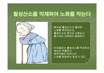 브로컬리(BROCCOLI)의 실용성-19