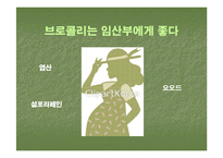 브로컬리(BROCCOLI)의 실용성-20