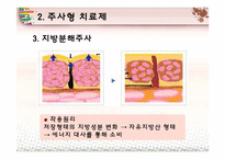 비만치료제의 원리-17