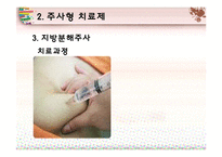 비만치료제의 원리-19