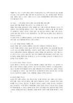 [마케팅] 농심 신라면의 중국시장진출 마케팅전략 성공사례-10