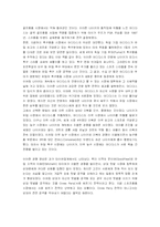 [마케팅] 아디다스의 마케팅과 차별화전략-11