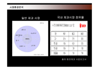 [마케팅] 롯데제과 드림카카오의 마케팅전략 성공사례-10