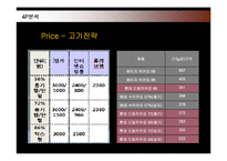 [마케팅] 롯데제과 드림카카오의 마케팅전략 성공사례-20
